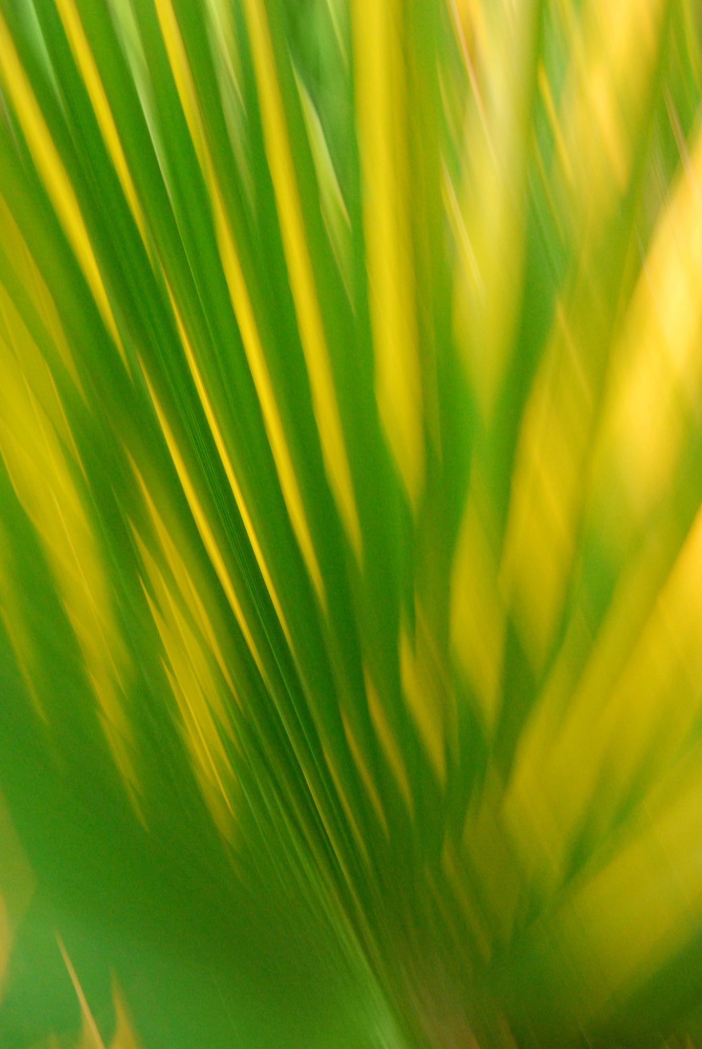 Static and Motion, 2009-09-24-0001