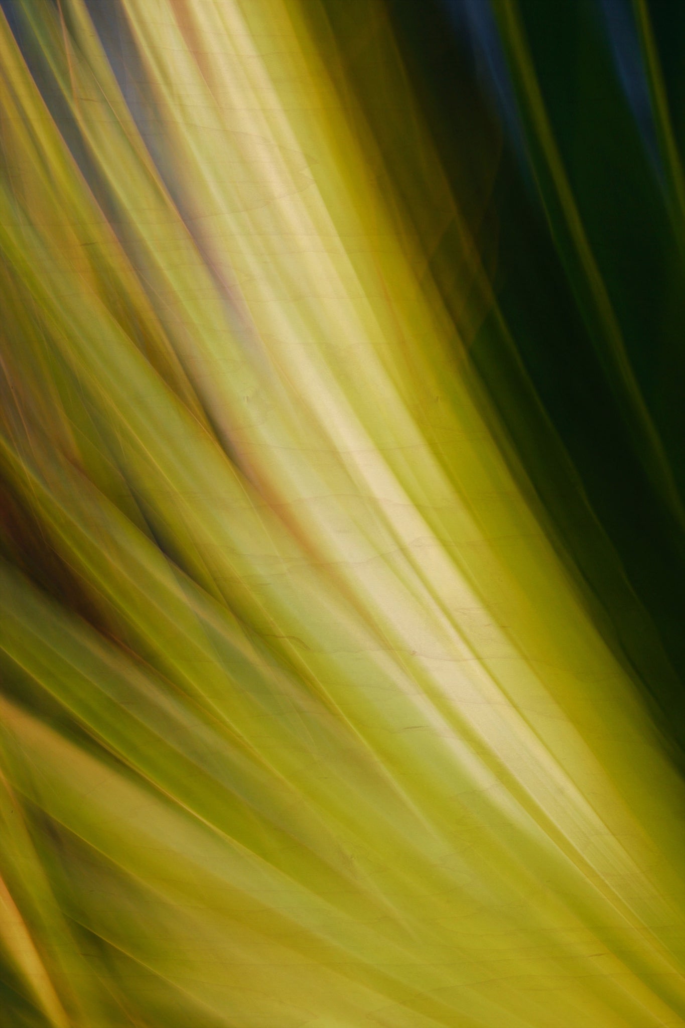 Static and Motion, 2009-09-24-0022