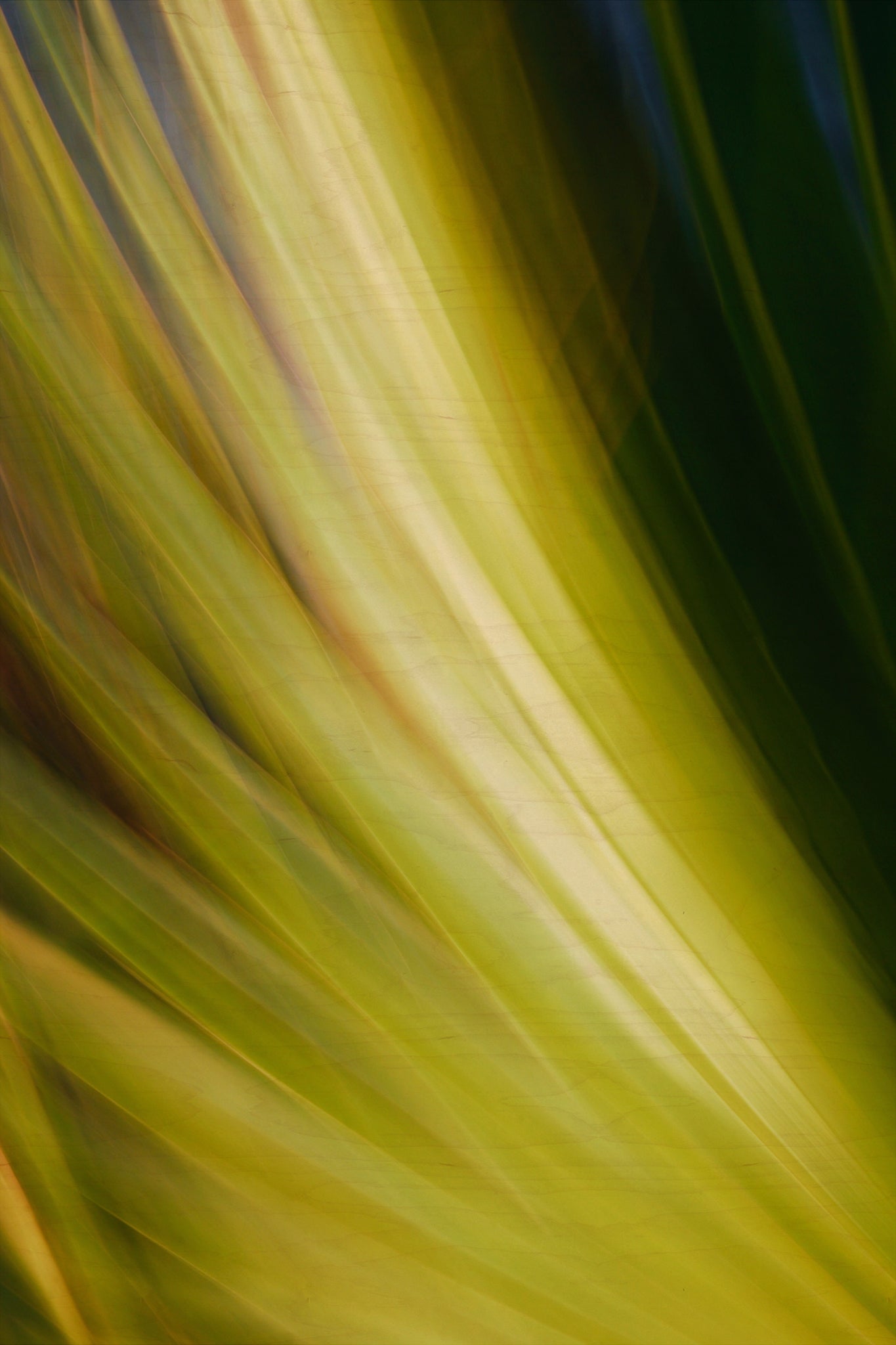 Static and Motion, 2009-09-24-0022