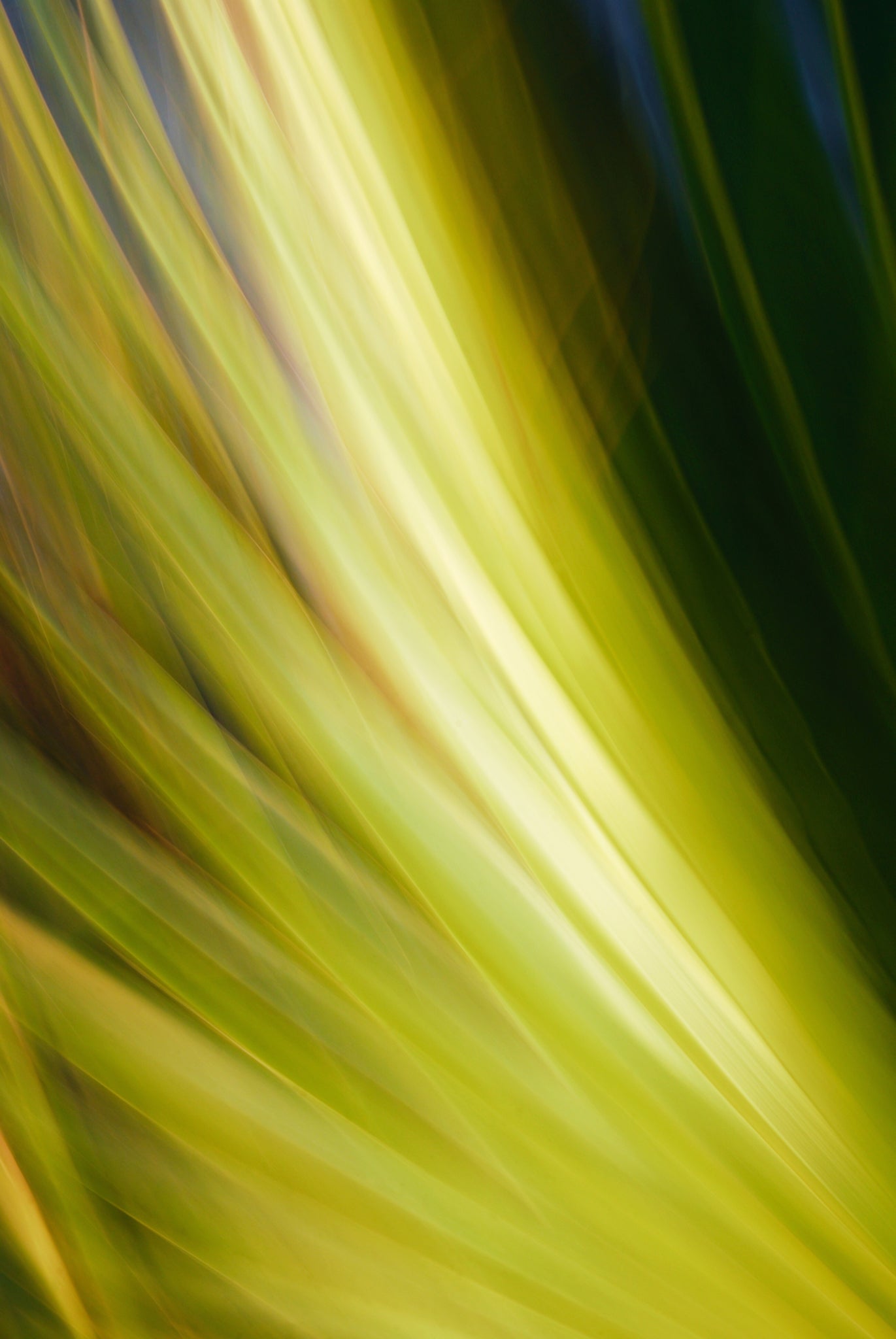 Static and Motion, 2009-09-24-0022