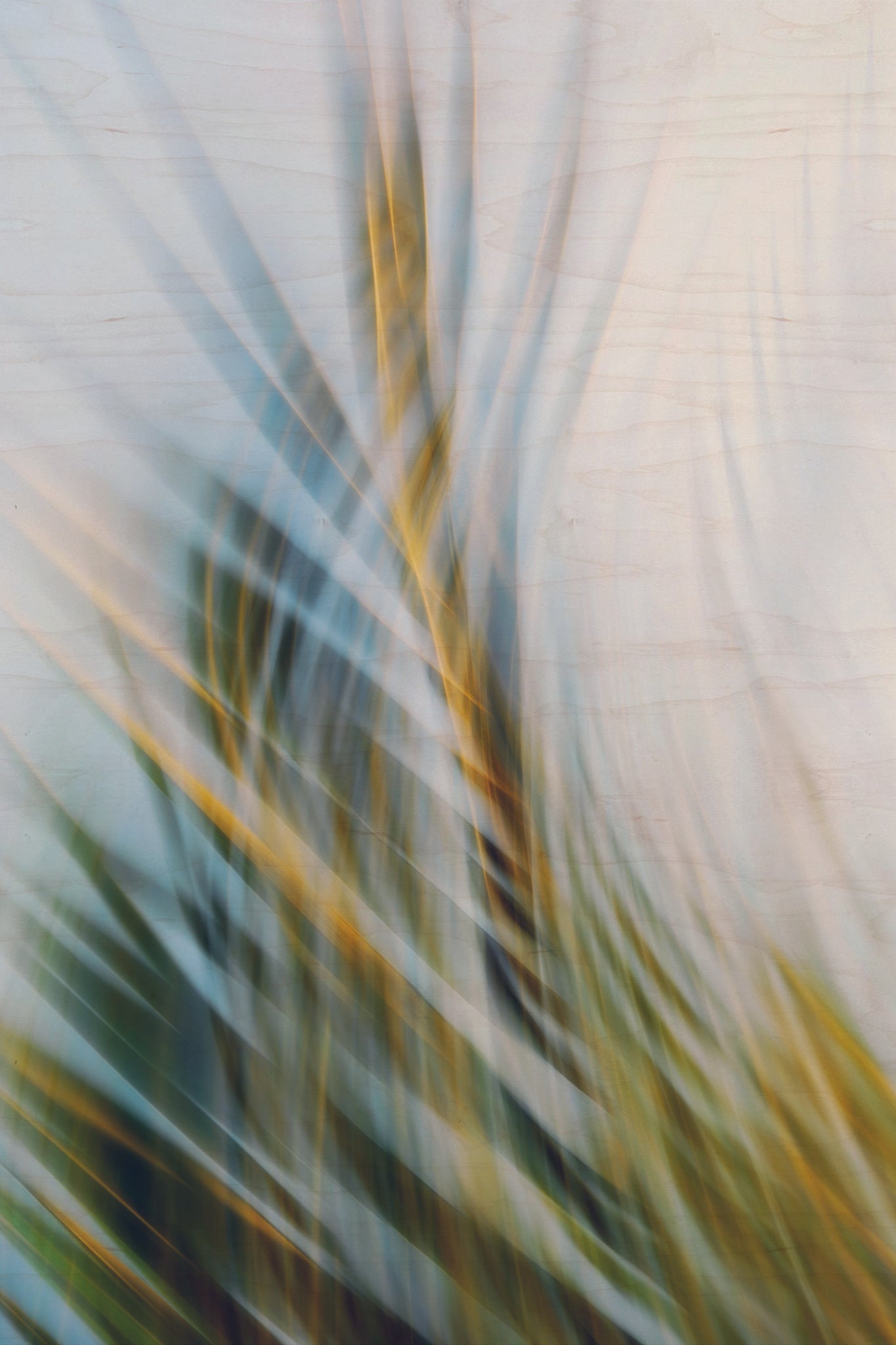 Static and Motion, 2009-09-24-0156