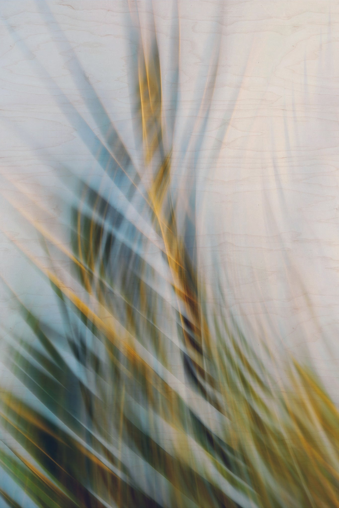 Static and Motion, 2009-09-24-0156