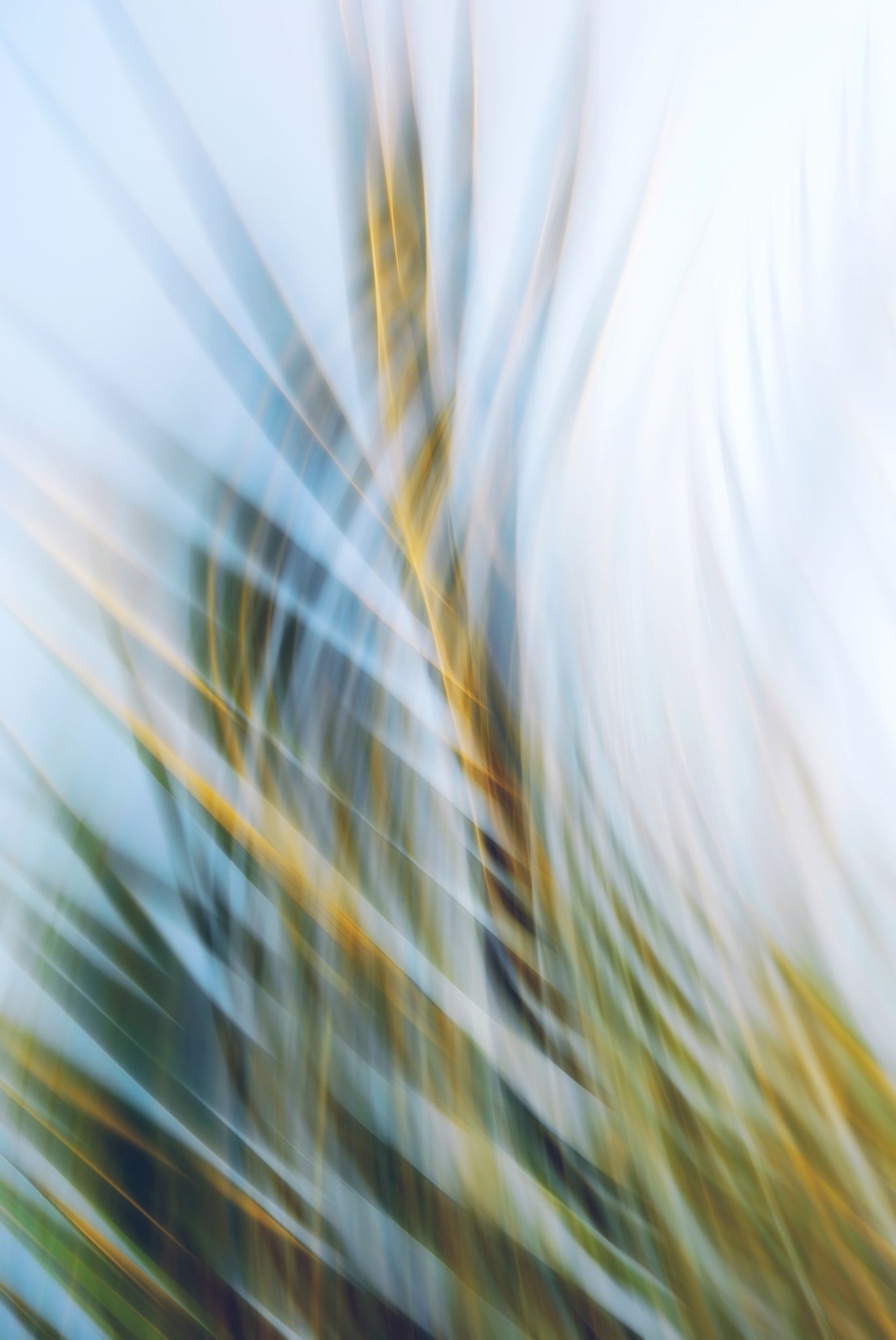 Static and Motion, 2009-09-24-0156