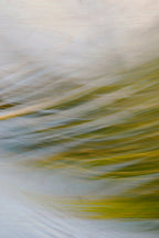 Static and Motion, 2009-09-24-0170
