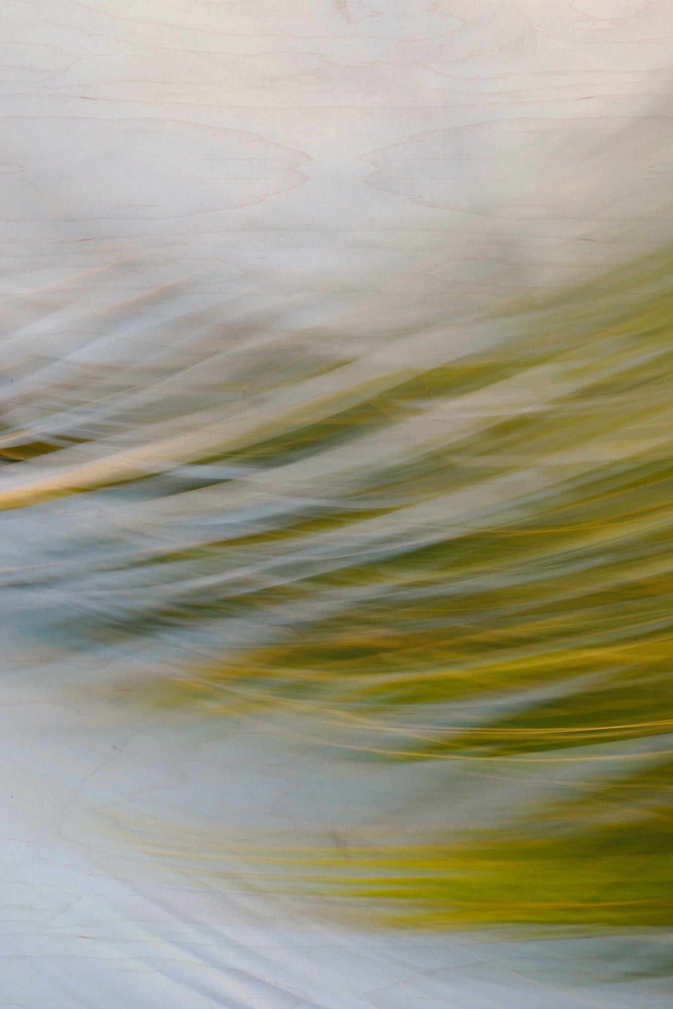 Static and Motion, 2009-09-24-0170