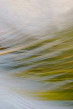 Static and Motion, 2009-09-24-0170