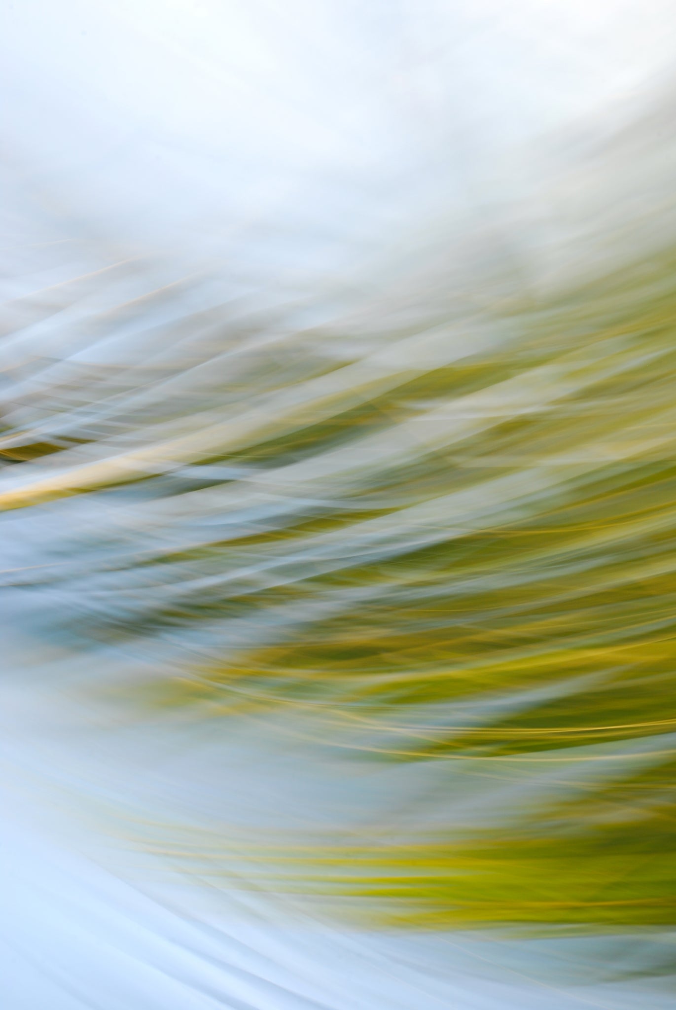 Static and Motion, 2009-09-24-0170