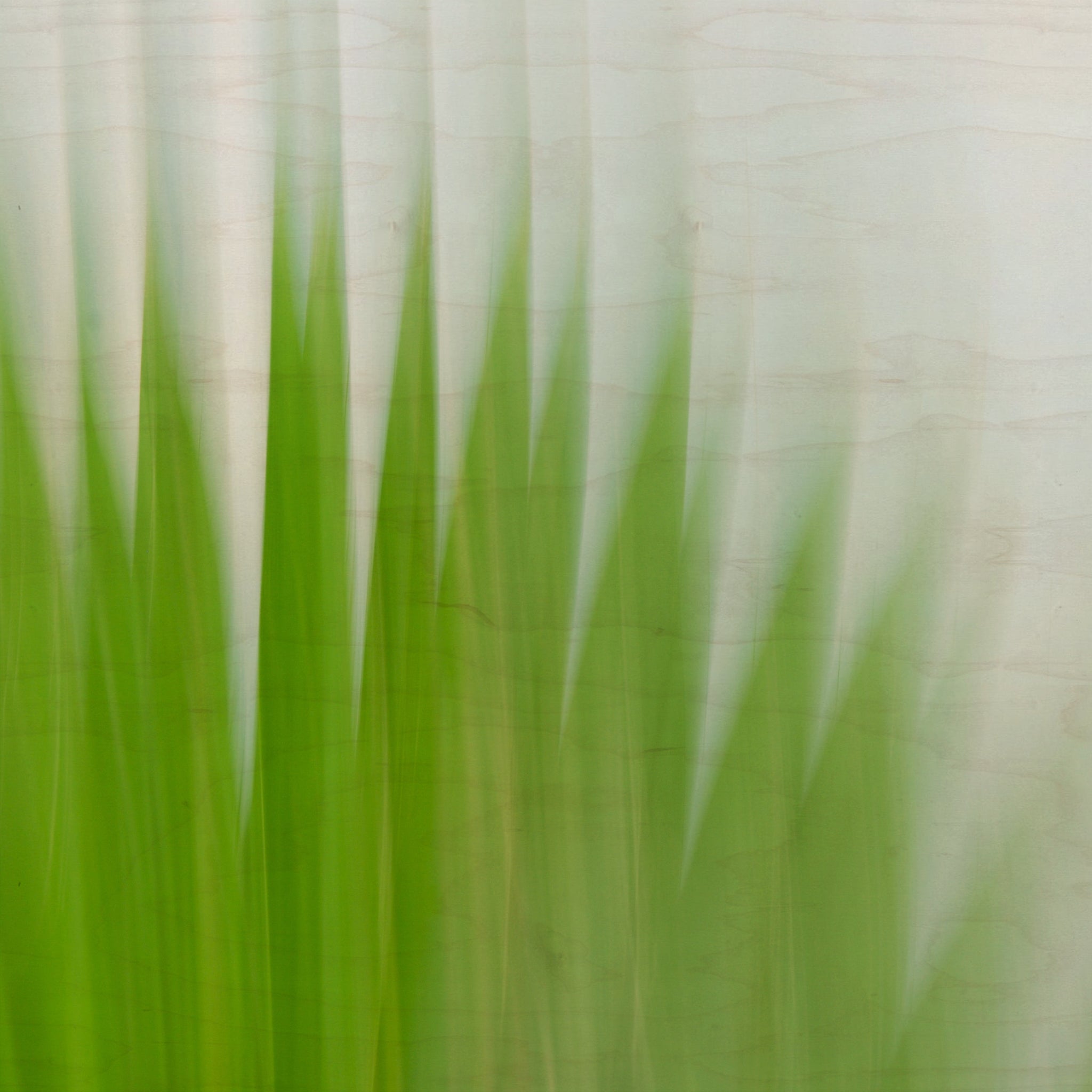 Static and Motion, 2009-10-04-0110