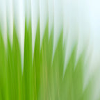 Static and Motion, 2009-10-04-0110