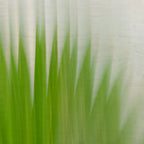 Static and Motion, 2009-10-04-0110
