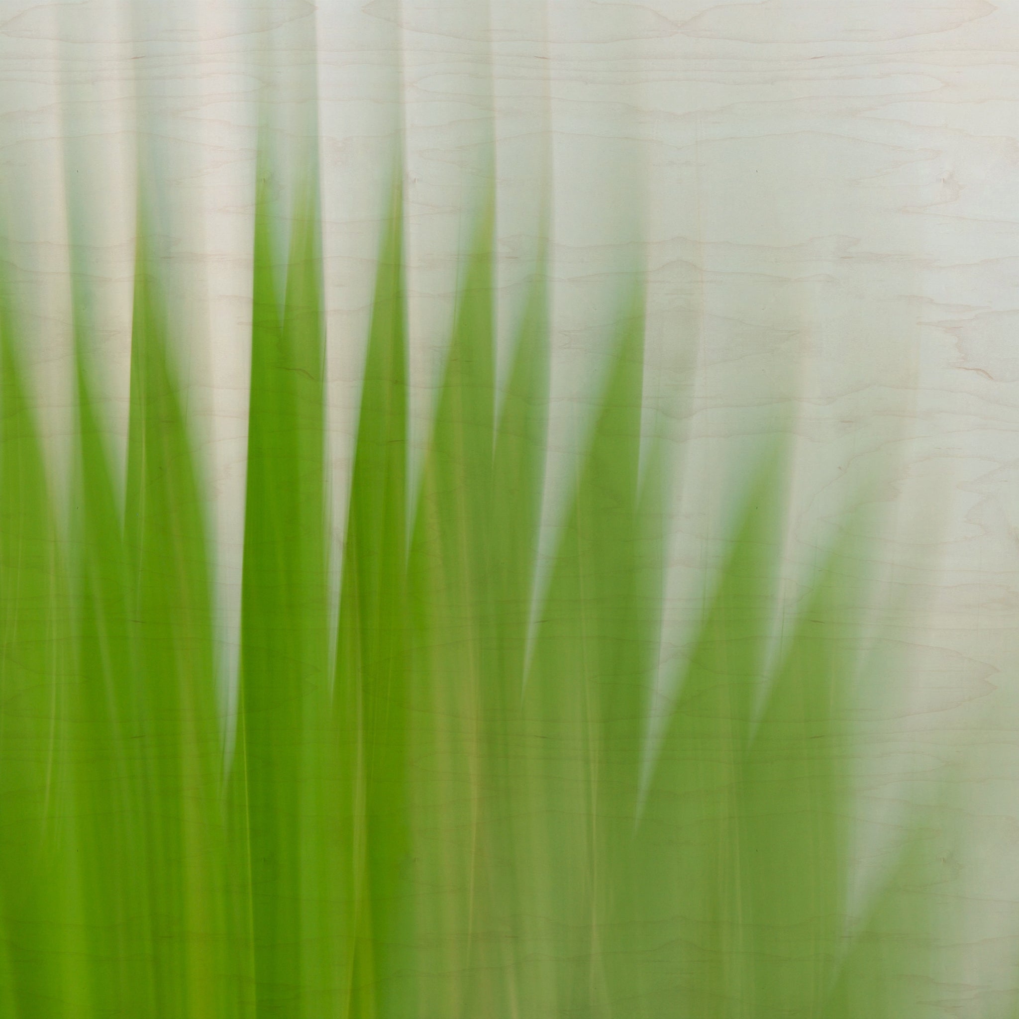 Static and Motion, 2009-10-04-0110