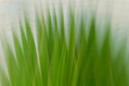 Static and Motion, 2009-10-04-0113