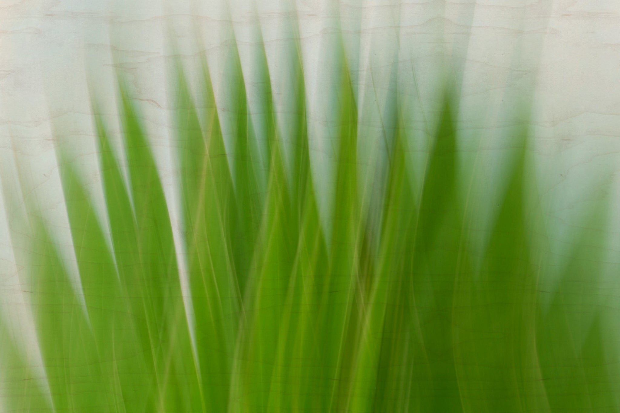 Static and Motion, 2009-10-04-0113