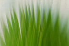 Static and Motion, 2009-10-04-0113