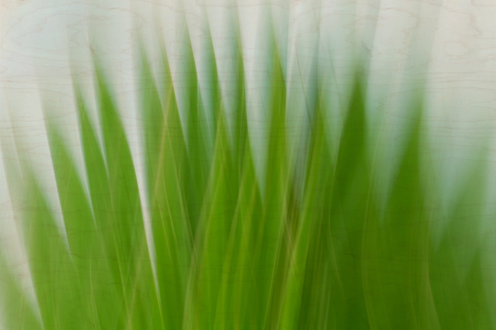 Static and Motion, 2009-10-04-0113