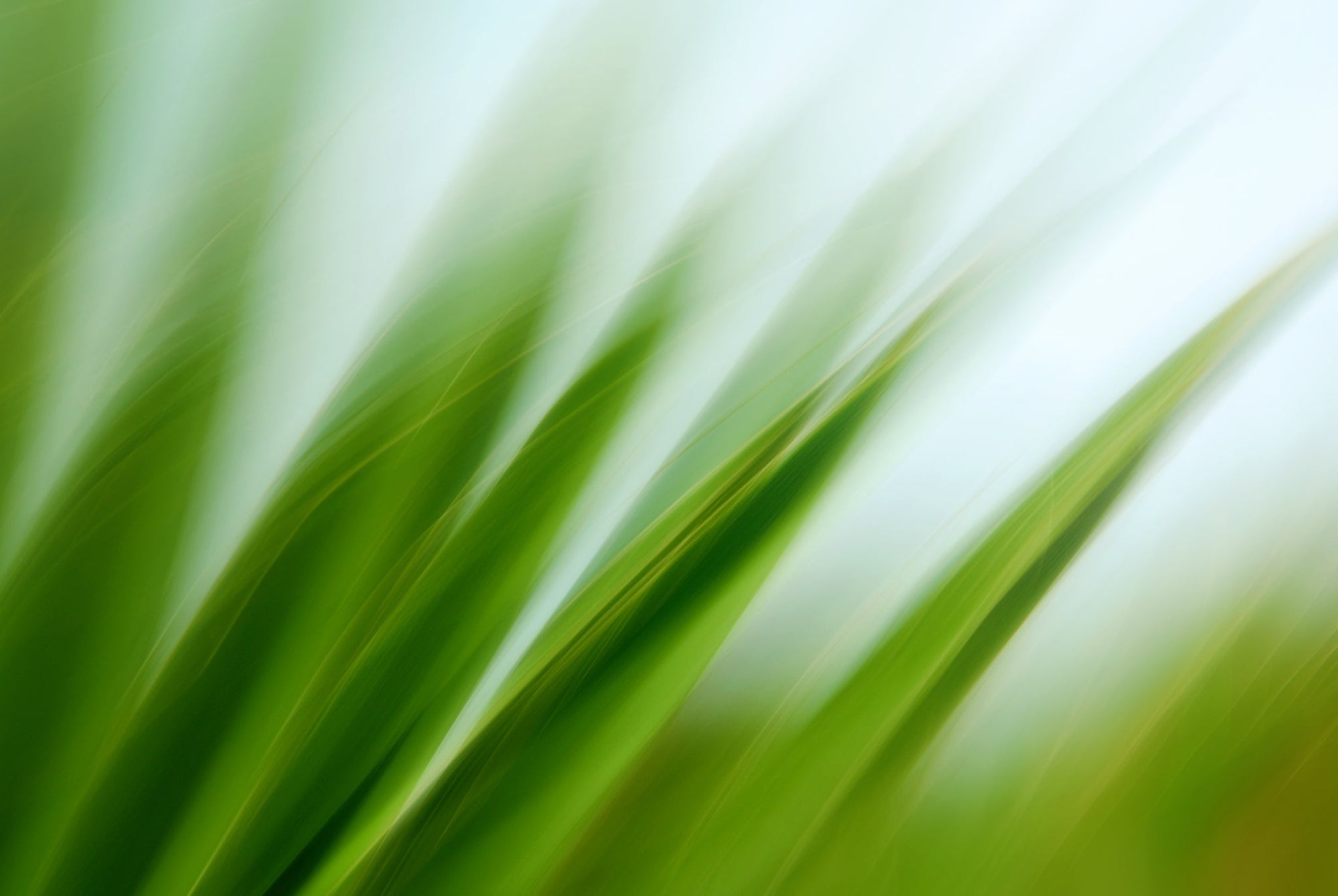 Static and Motion, 2009-10-04-0126