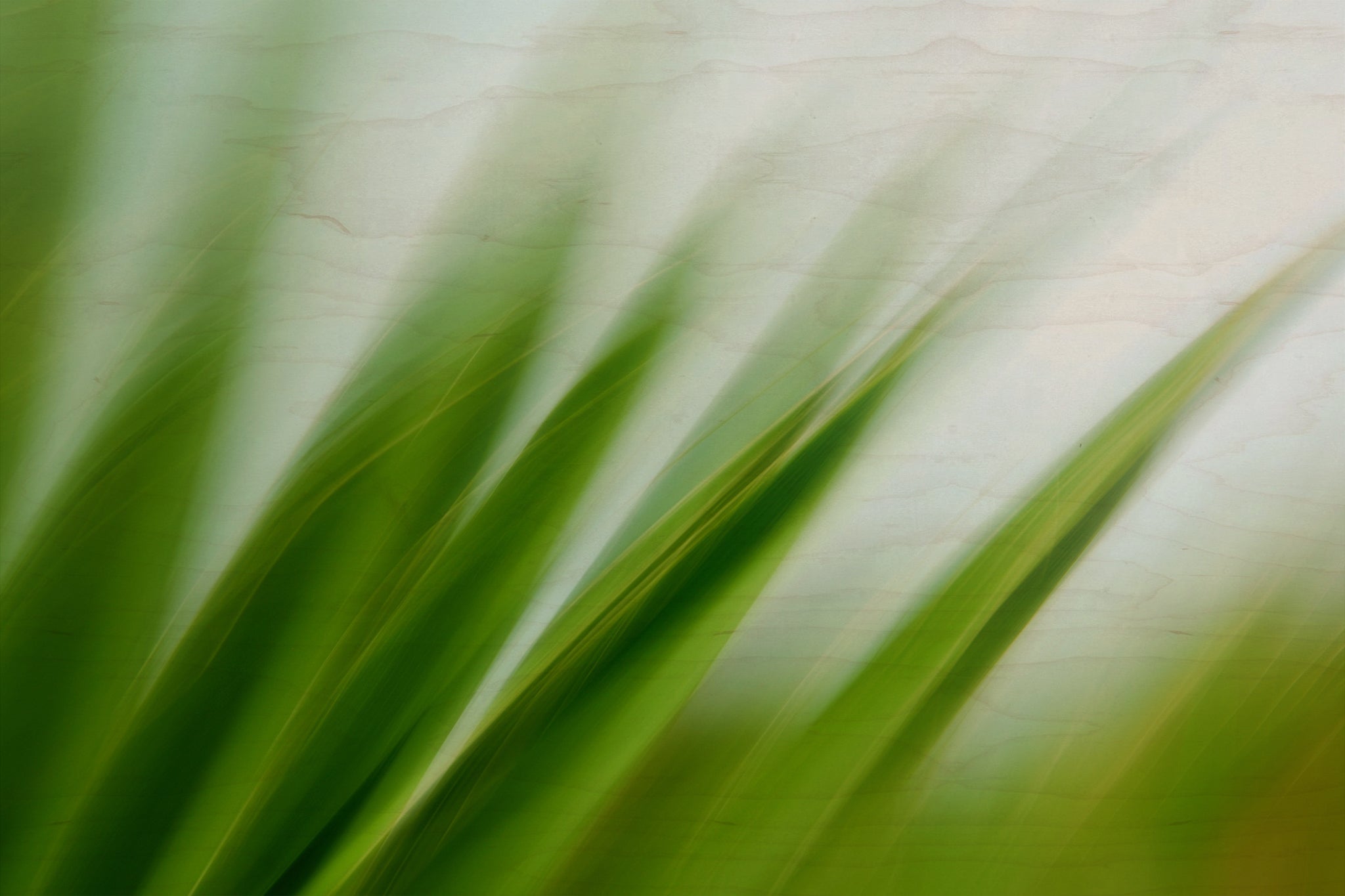 Static and Motion, 2009-10-04-0126