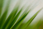 Static and Motion, 2009-10-04-0126