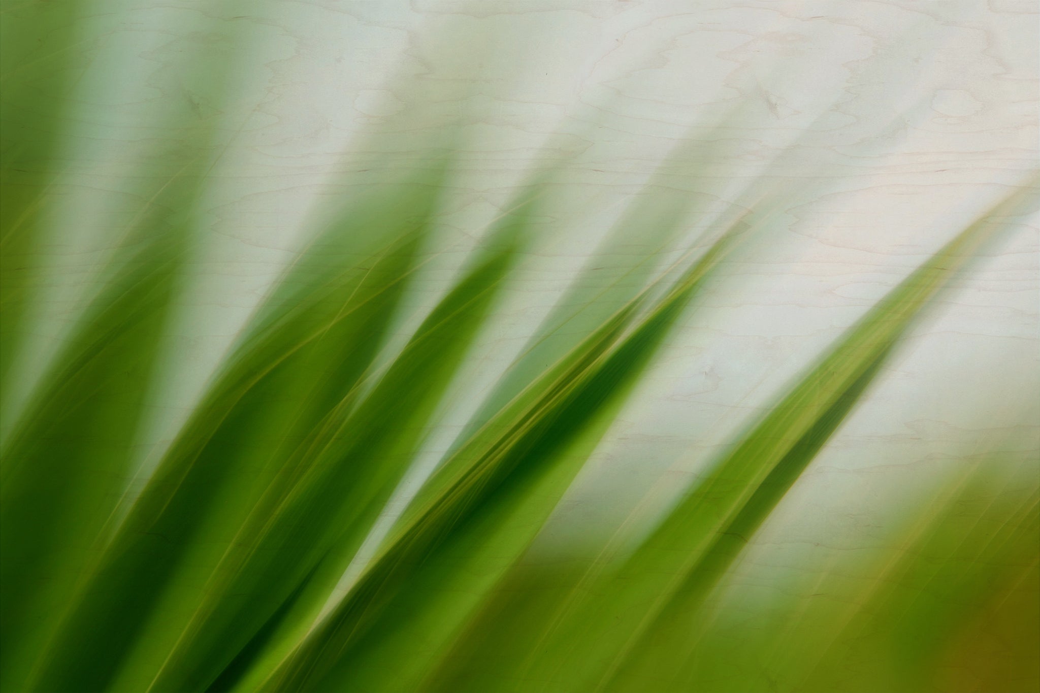 Static and Motion, 2009-10-04-0126