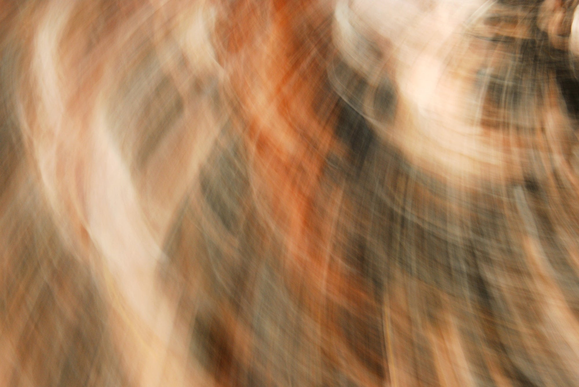 Static and Motion, 2009-10-04-0186