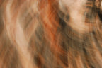 Static and Motion, 2009-10-04-0186