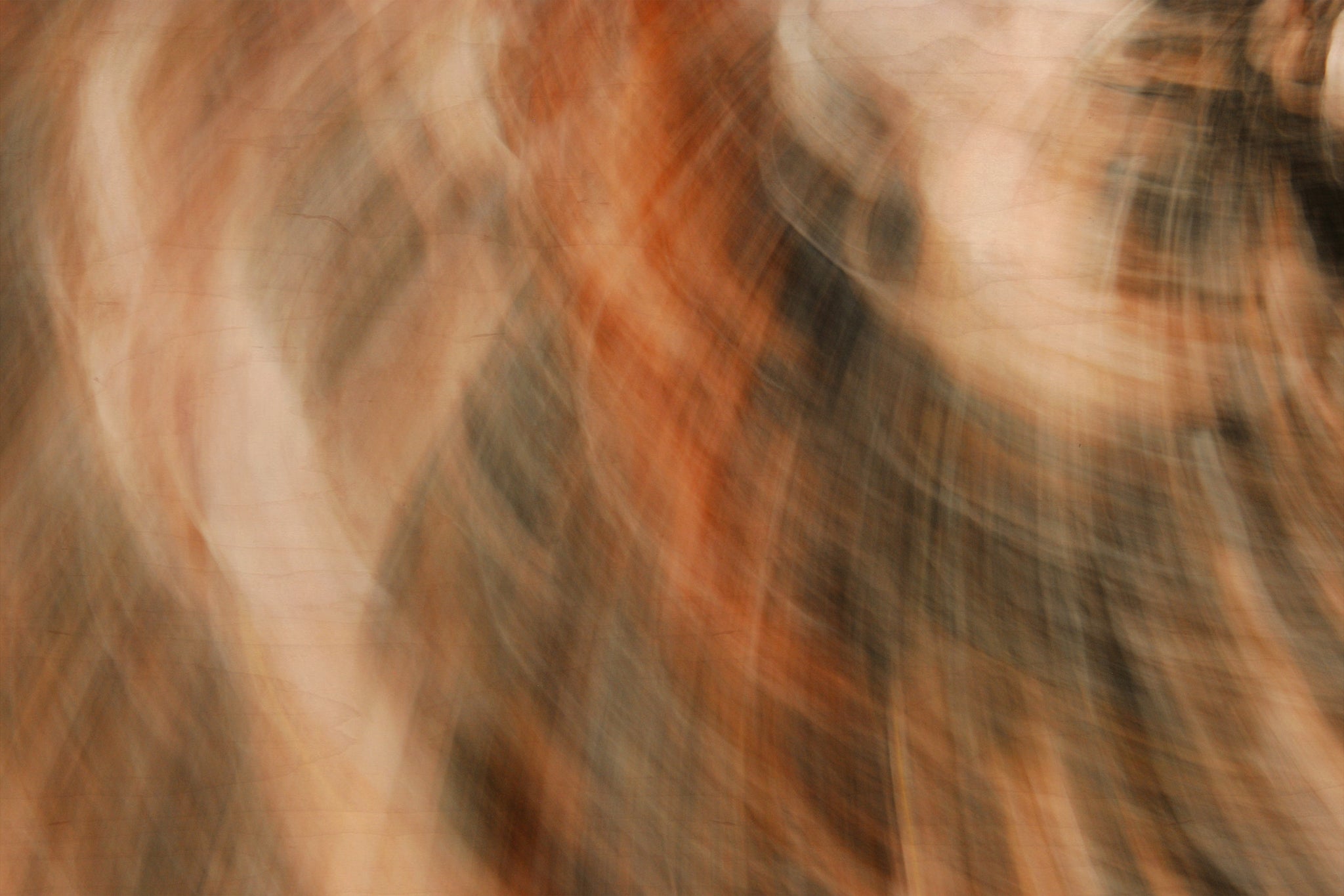 Static and Motion, 2009-10-04-0186
