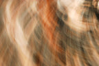 Static and Motion, 2009-10-04-0186
