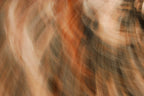 Static and Motion, 2009-10-04-0186
