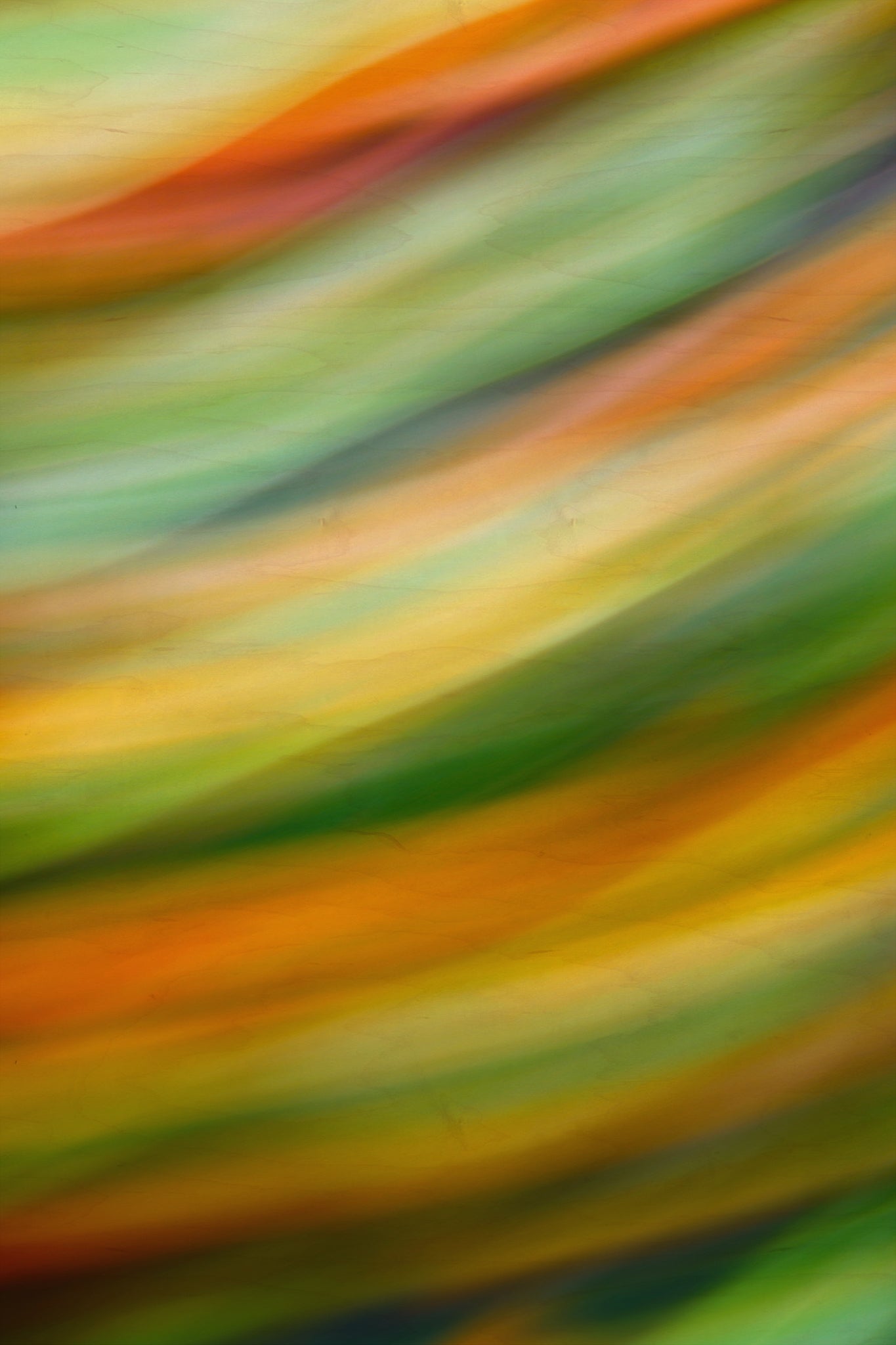 Static and Motion, 2009-10-04-0196