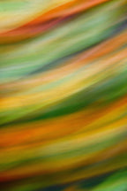 Static and Motion, 2009-10-04-0196