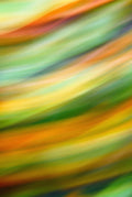 Static and Motion, 2009-10-04-0196