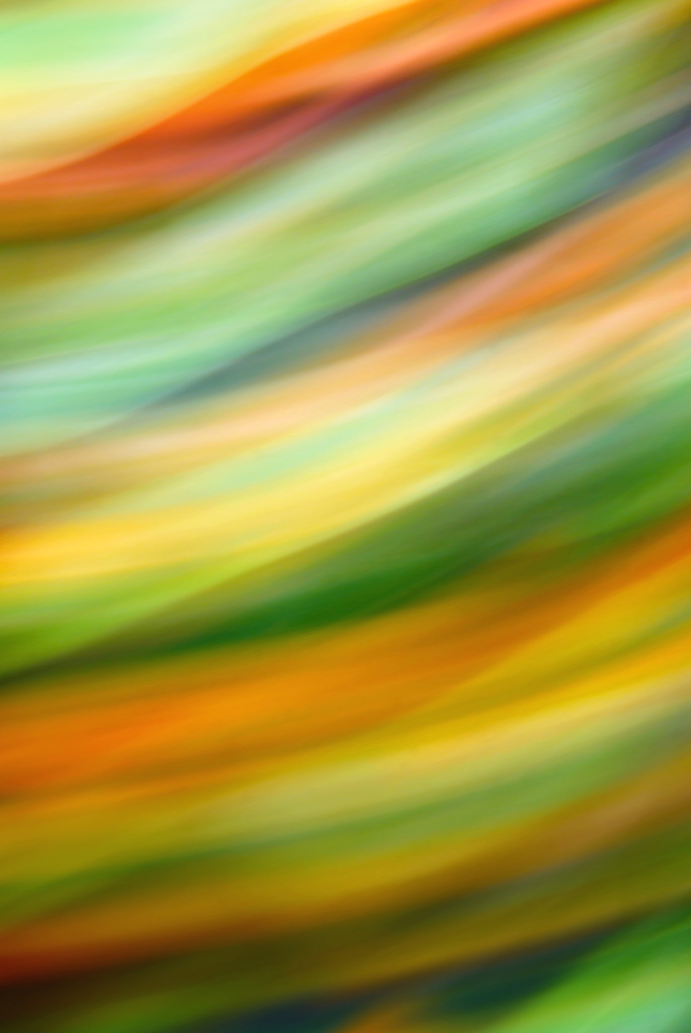 Static and Motion, 2009-10-04-0196