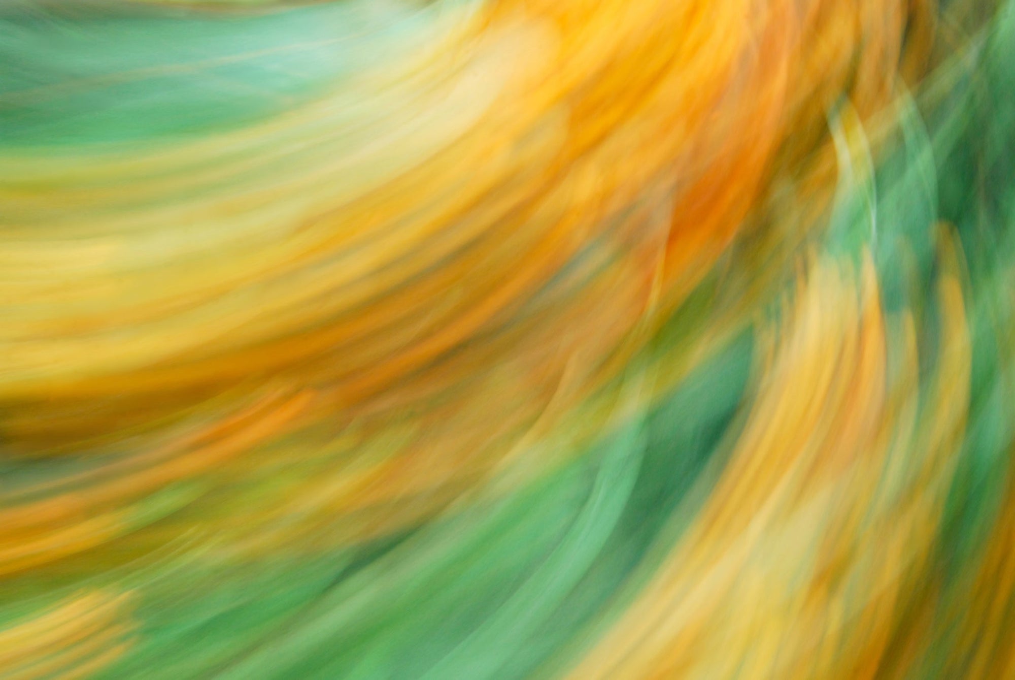 Static and Motion, 2009-10-04-0271