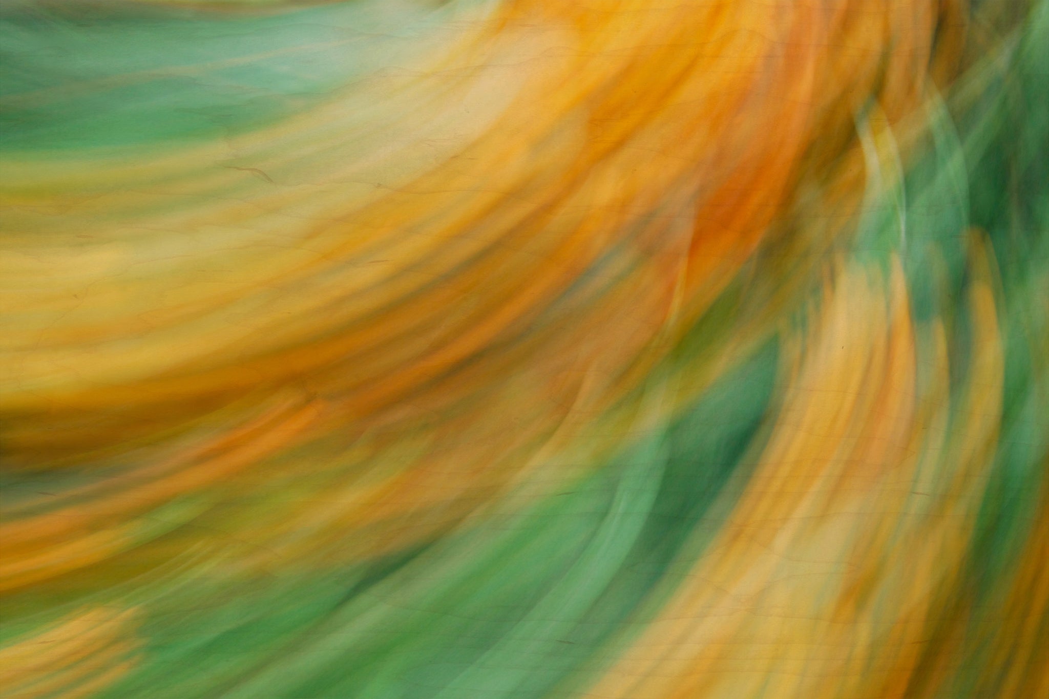 Static and Motion, 2009-10-04-0271