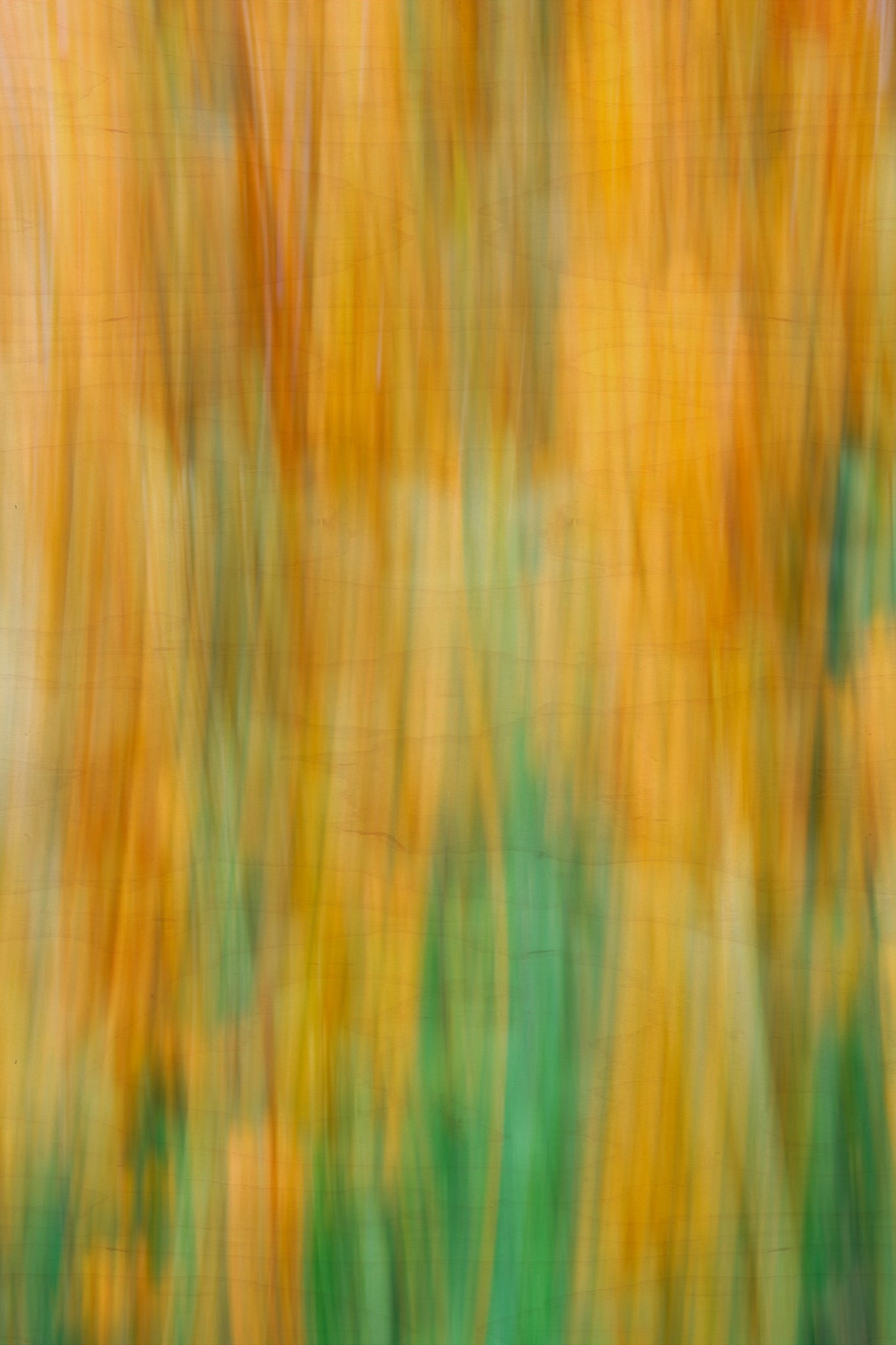 Static and Motion, 2009-10-04-0287