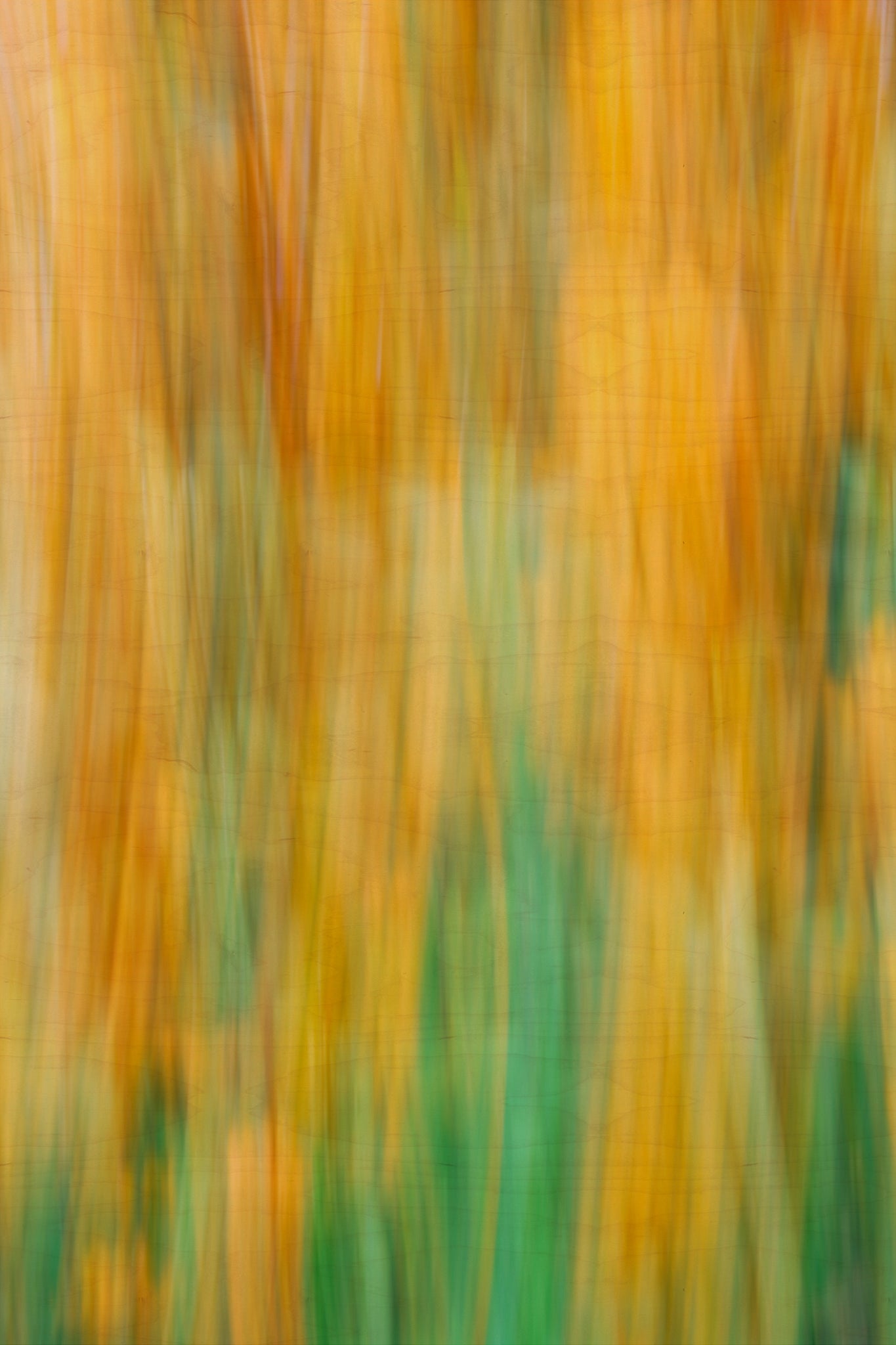 Static and Motion, 2009-10-04-0287