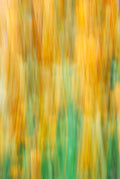 Static and Motion, 2009-10-04-0287