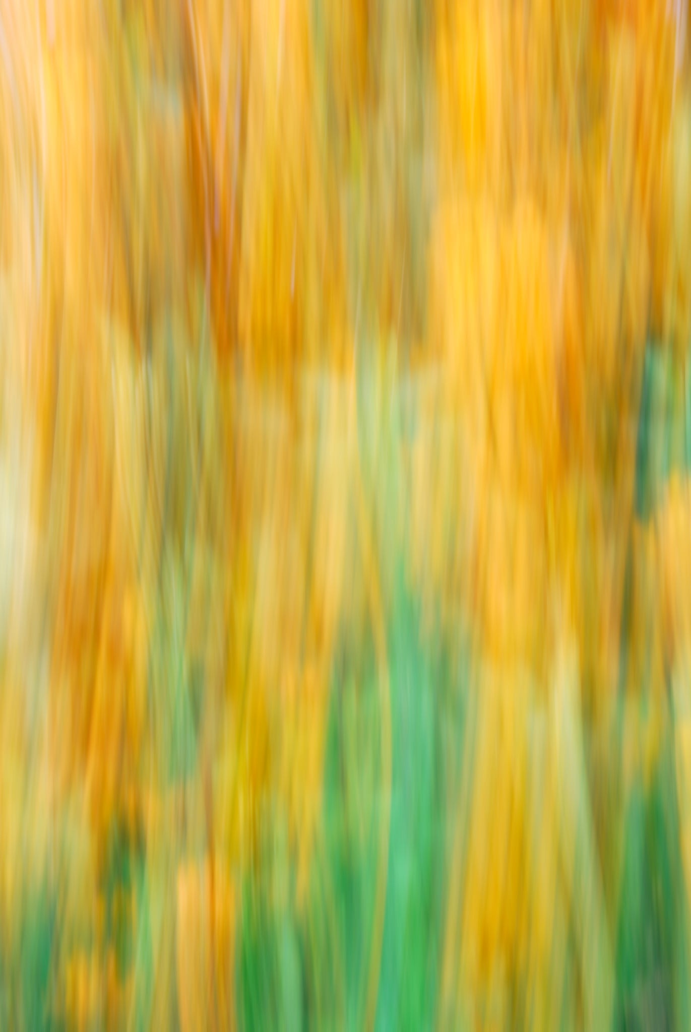 Static and Motion, 2009-10-04-0287