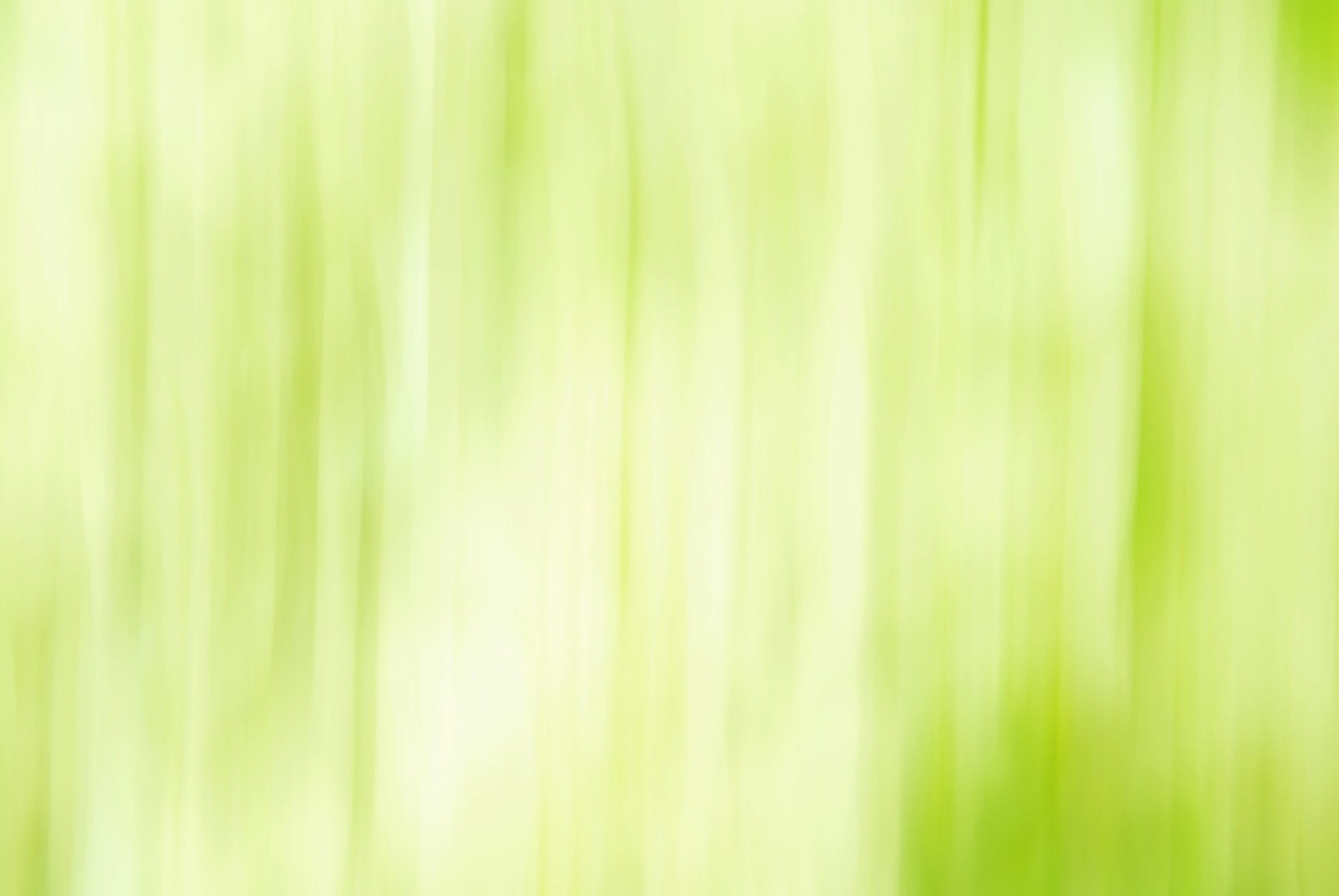 Static and Motion, 2009-10-04-0325