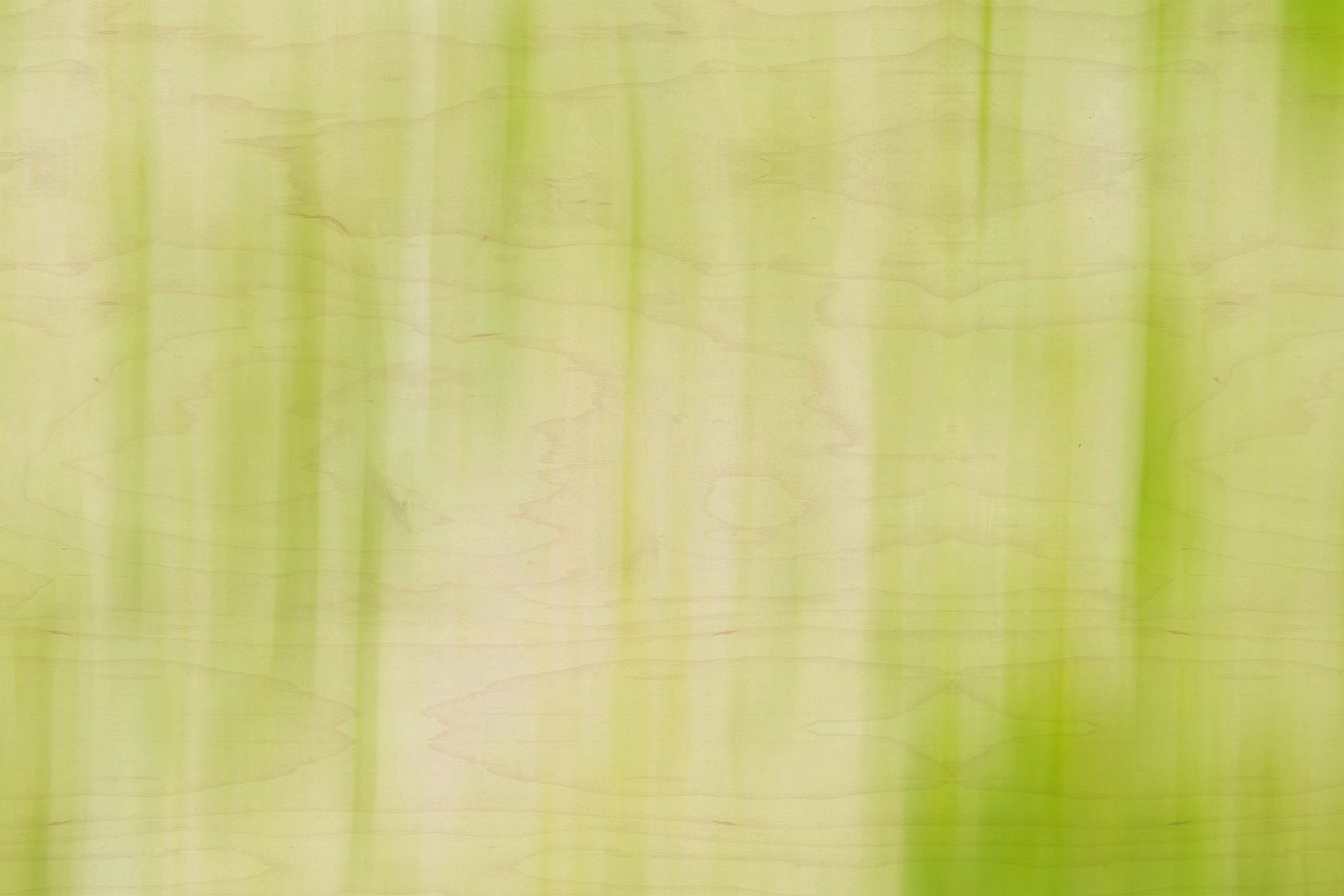 Static and Motion, 2009-10-04-0325