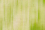 Static and Motion, 2009-10-04-0325