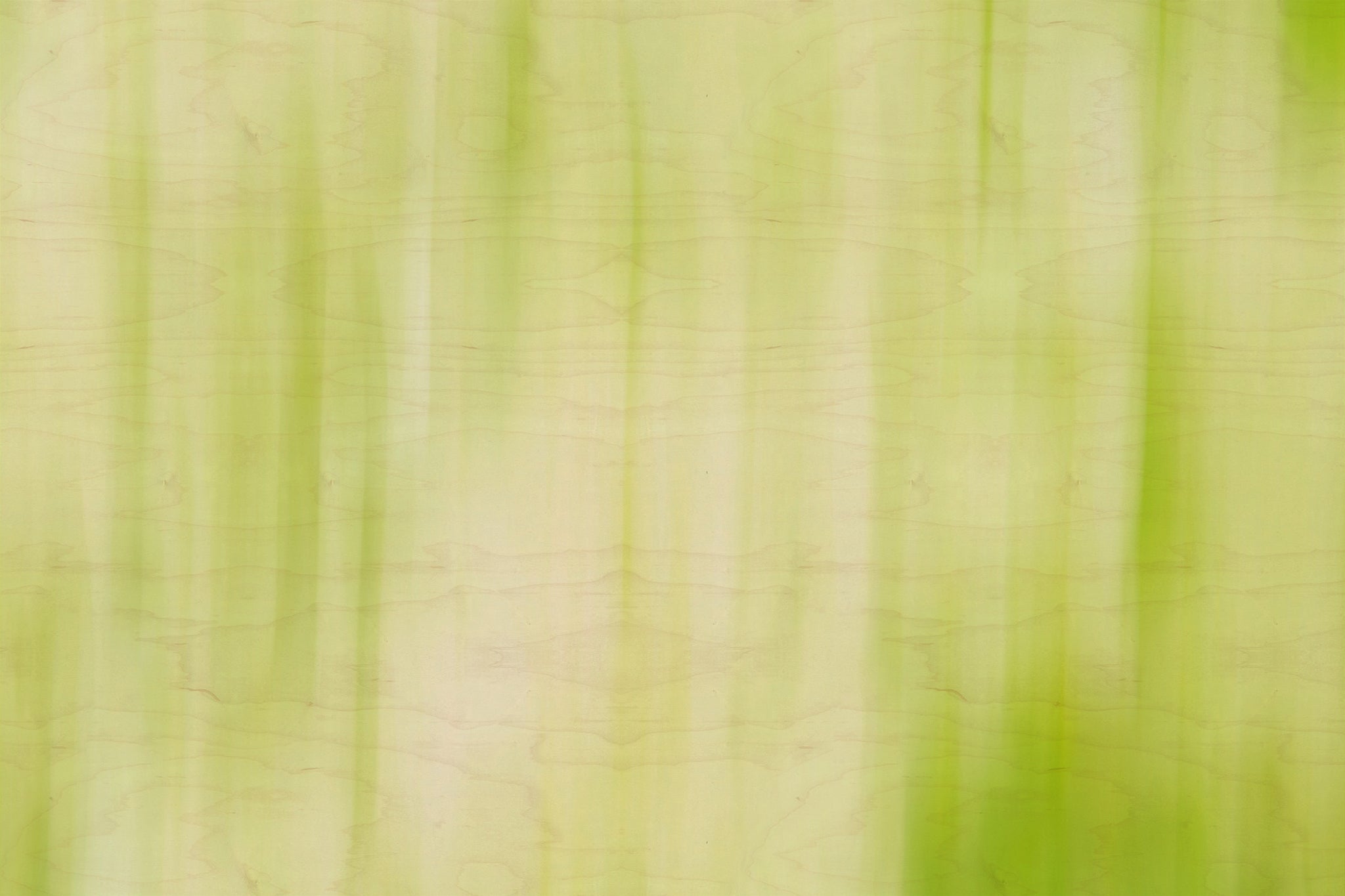 Static and Motion, 2009-10-04-0325