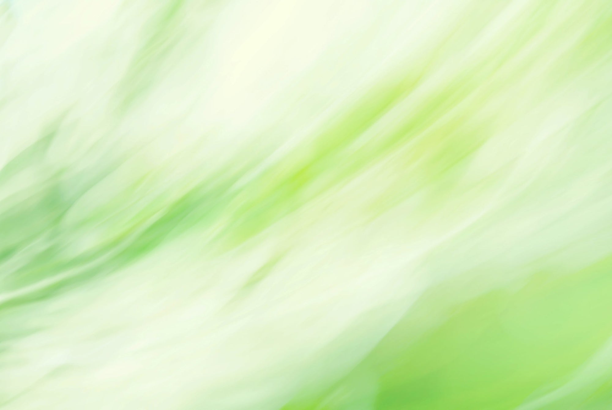 Static and Motion, 2009-10-04-0329