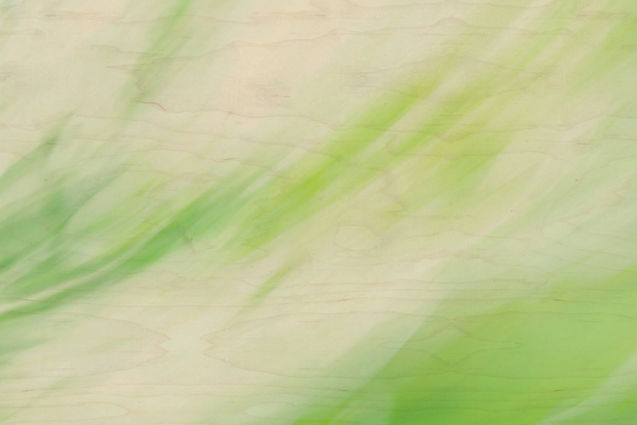 Static and Motion, 2009-10-04-0329