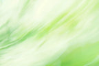 Static and Motion, 2009-10-04-0329