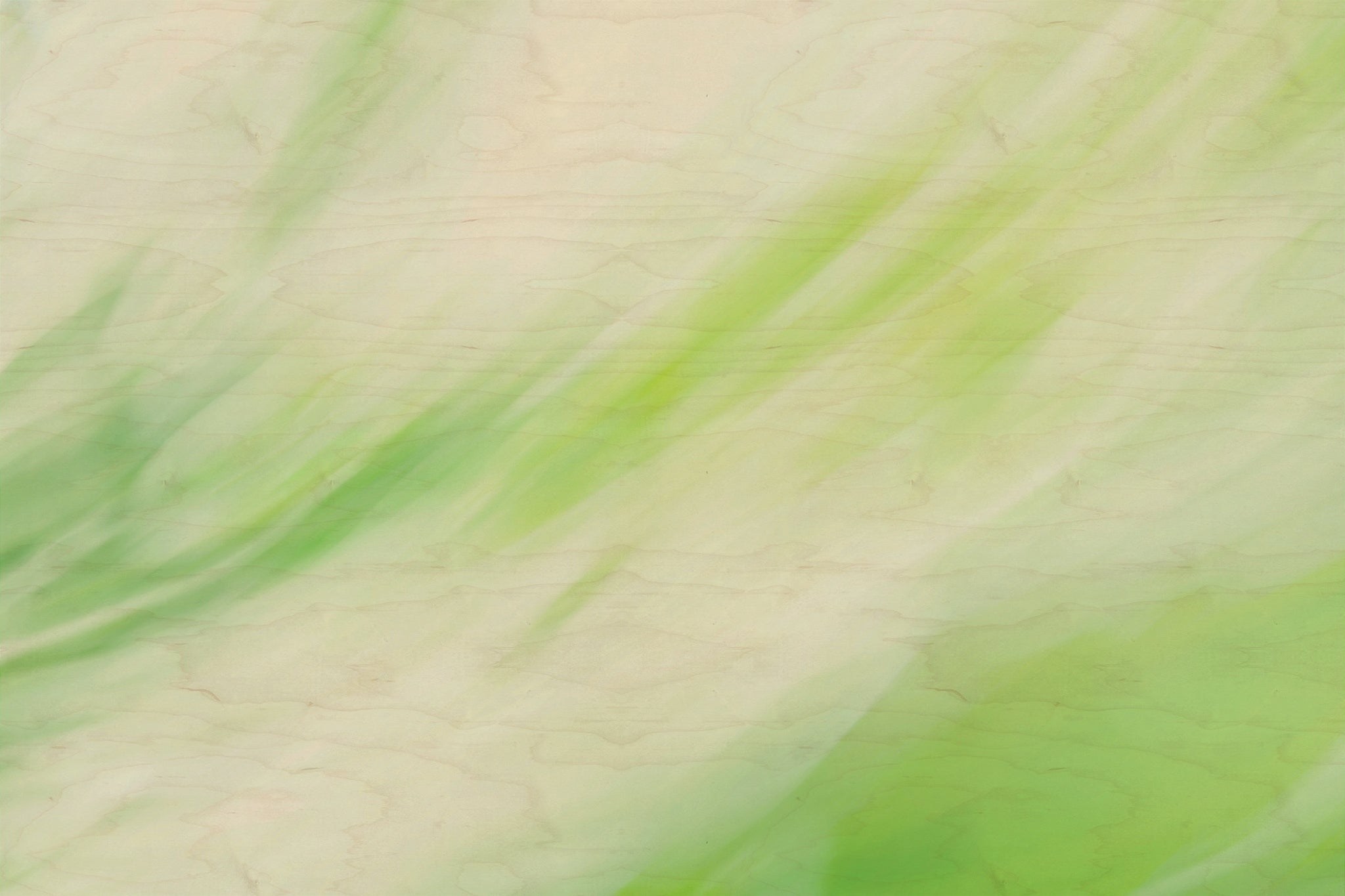 Static and Motion, 2009-10-04-0329