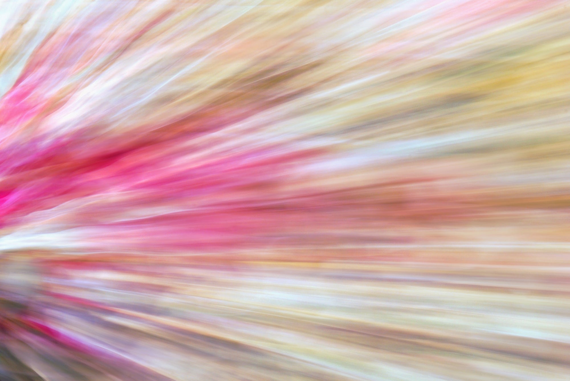 Static and Motion, 2009-10-04-0383