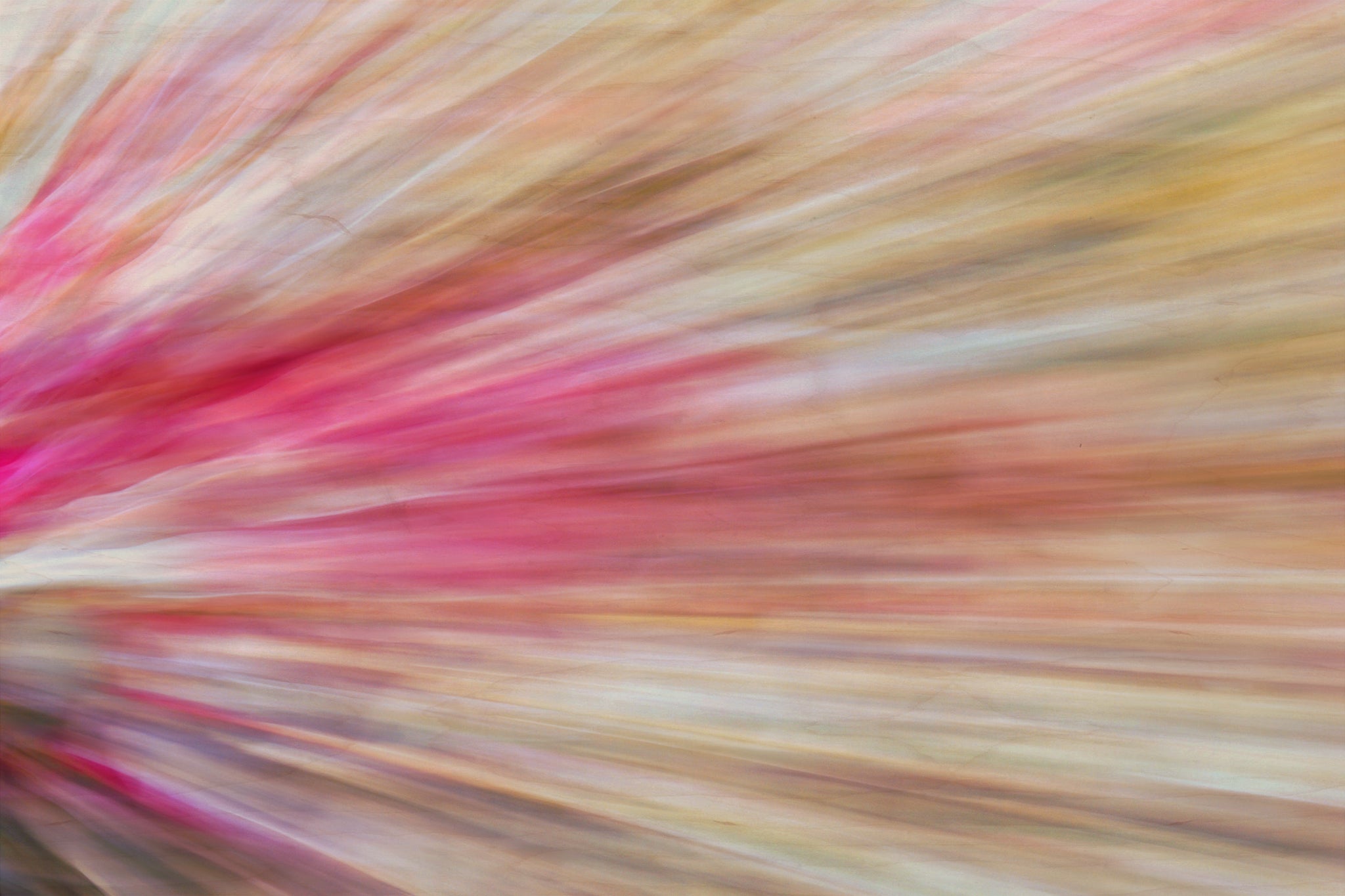 Static and Motion, 2009-10-04-0383