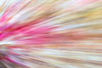 Static and Motion, 2009-10-04-0383