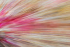 Static and Motion, 2009-10-04-0383
